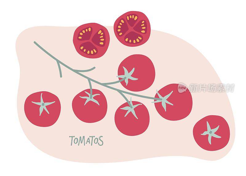 番茄小枝手绘涂鸦。红樱桃番茄在树枝上和切番茄。健康饮食。蔬菜成分。设计菜单，餐厅，农贸市场，食谱，海报，横幅，贴纸