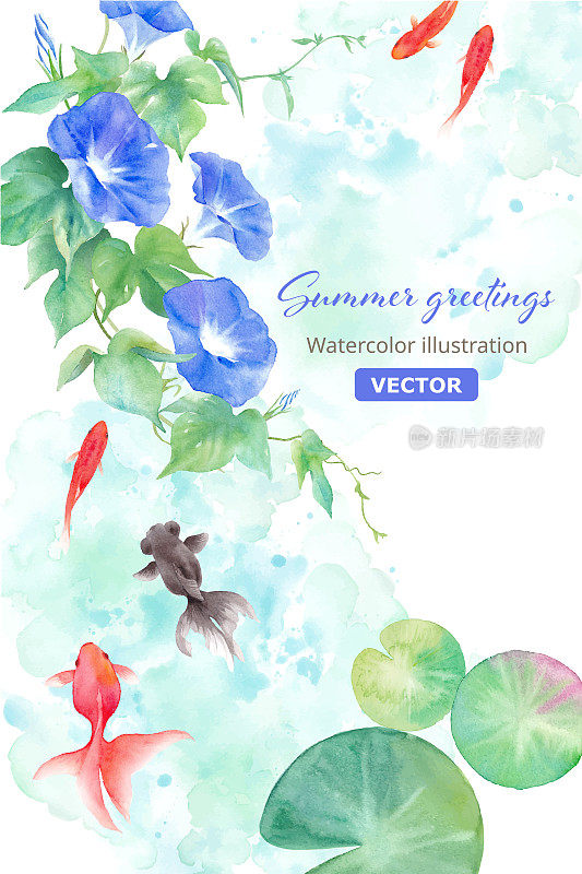 金鱼和牵牛花的水彩插图。夏天的形象。夏日贺卡背景。(向量。布局改变的)