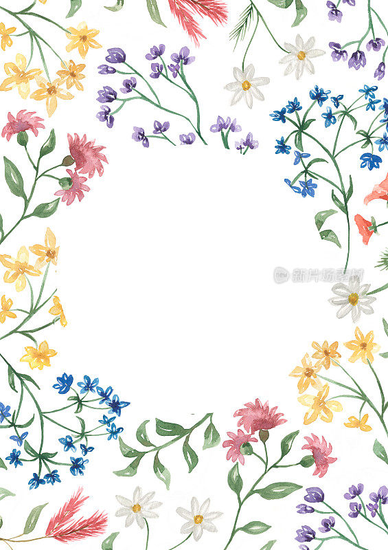 手绘水彩野花花环插图。野花花框架剪纸婚礼，生日邀请。花的气味。草地上的花。