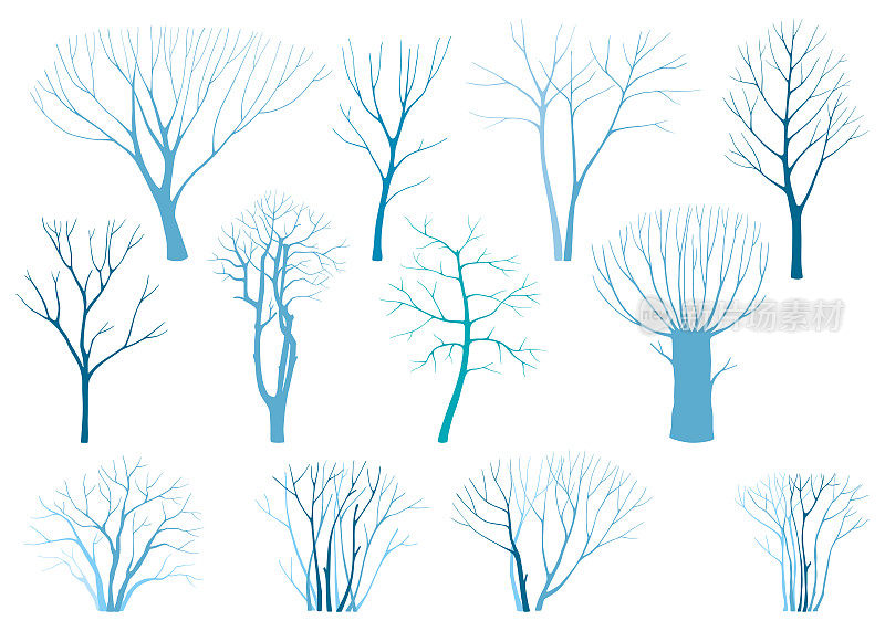 冬季树木组