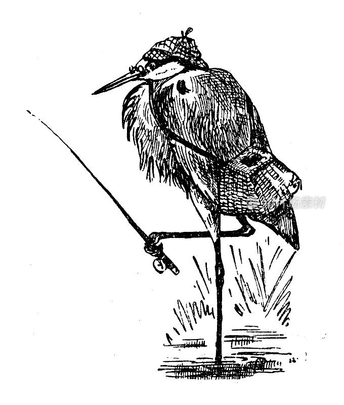1897年的运动和消遣:钓鸟