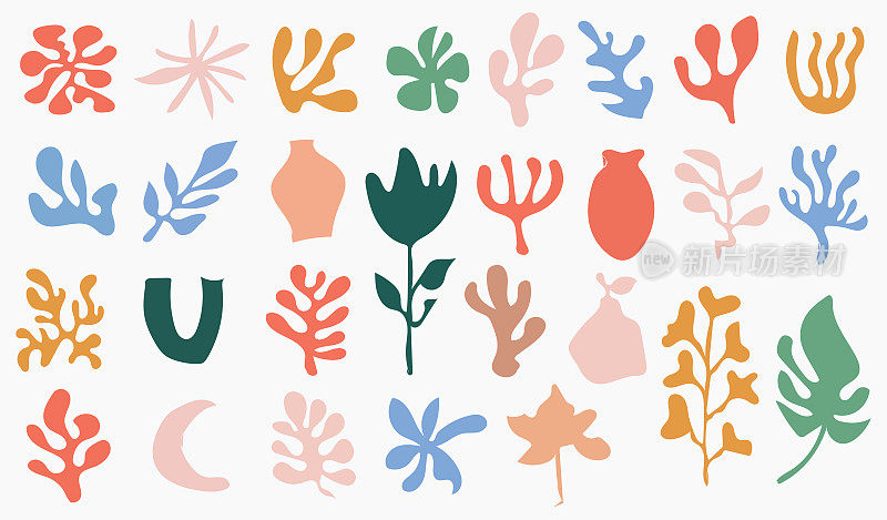 矢量集手工制作的颜色植物，树叶，树叶有机形状符号元素收集在白色的背景