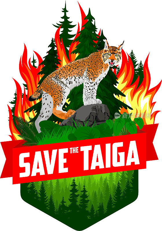 拯救针叶林森林野火森林砍伐概念矢量插图与山猫
