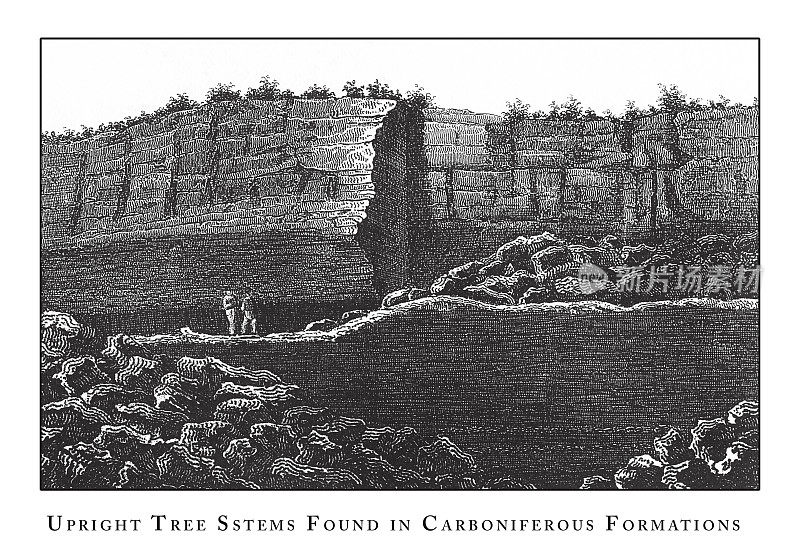 在石炭纪，洞穴，冰山，熔岩和岩层雕刻古董插图发现的直立的树干，1851年出版
