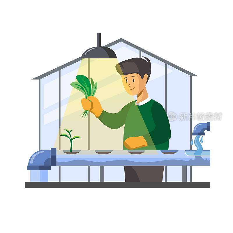 水培农场。人收获有机蔬菜从水声温室概念在卡通插图矢量