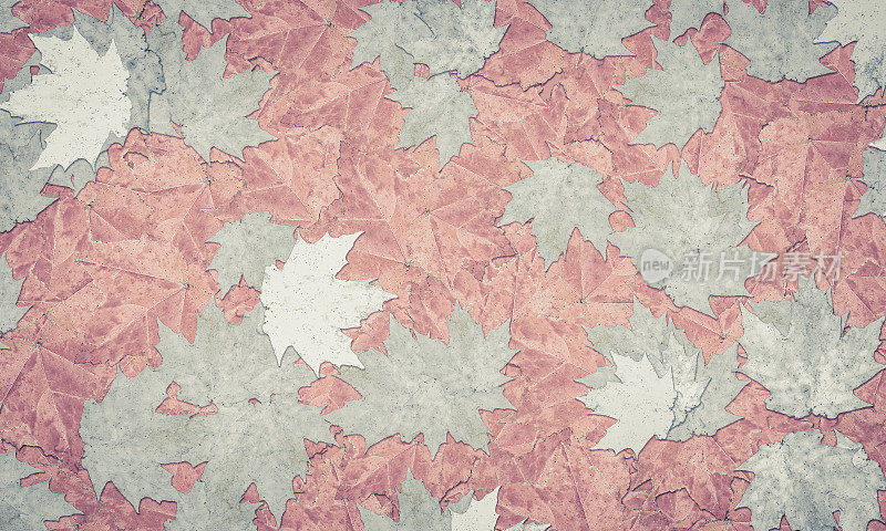 叶子背景-秋天的叶子-珊瑚色和灰色
