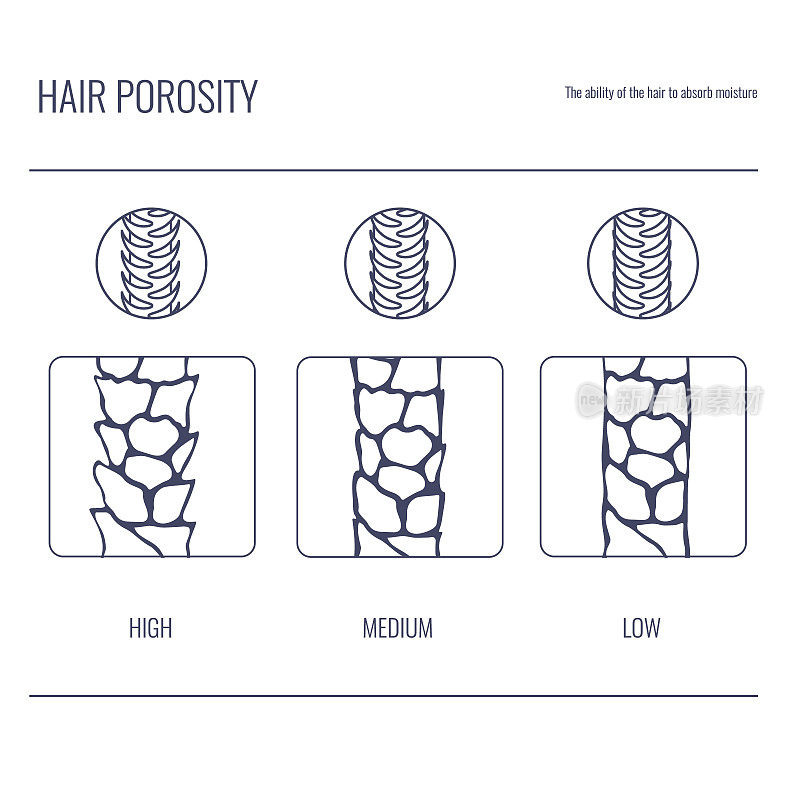 头发孔隙度类型图:低孔、正常孔、高孔的线状发丝