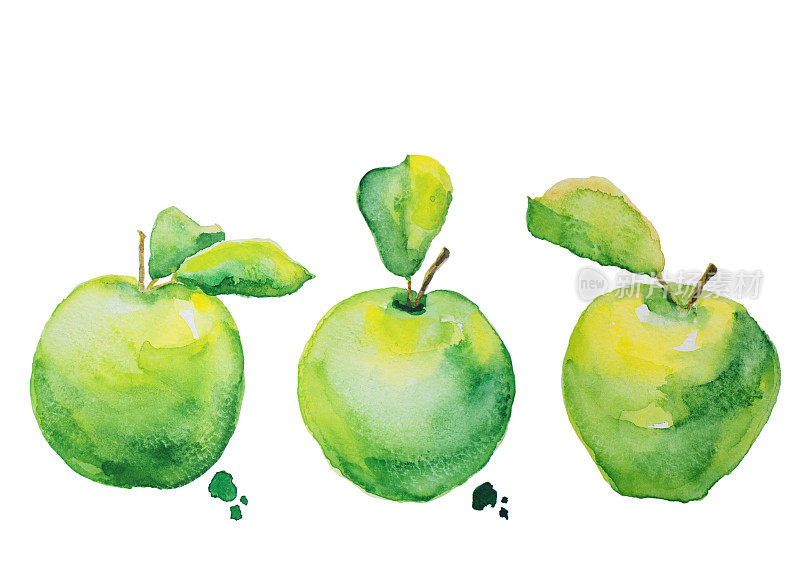 苹果水彩绘画。