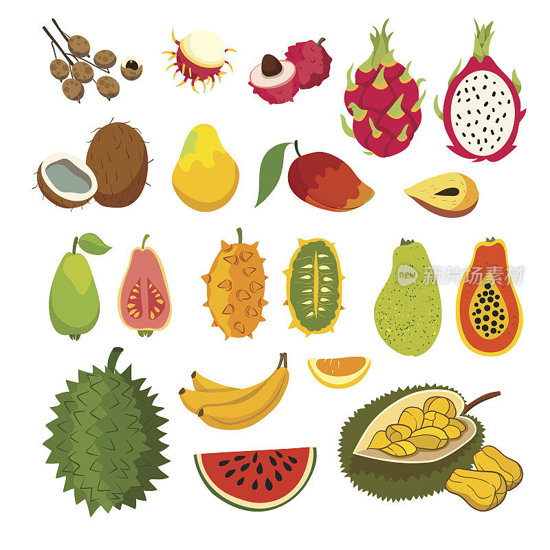 异域热带水果向量集。多汁成熟的水果
