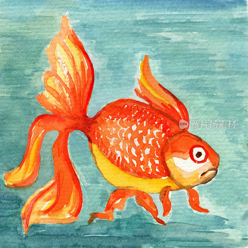 水彩画热带鱼