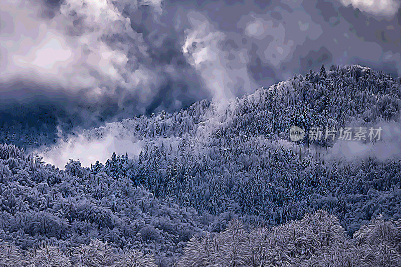 喀尔巴阡山脉比斯扎迪的雪山森林。波兰最受欢迎的旅游目的地之一。