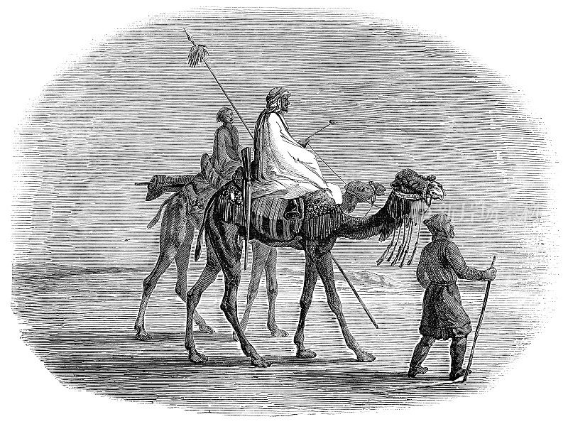 中午在沙漠偶遇，情侣骑着骆驼