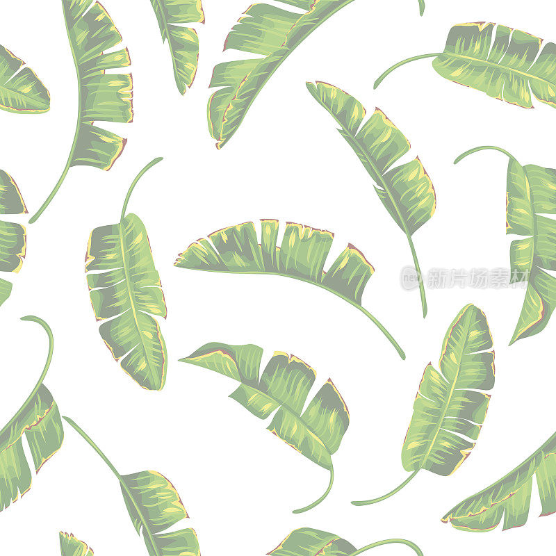 芭蕉叶无缝图案。装饰热带植物