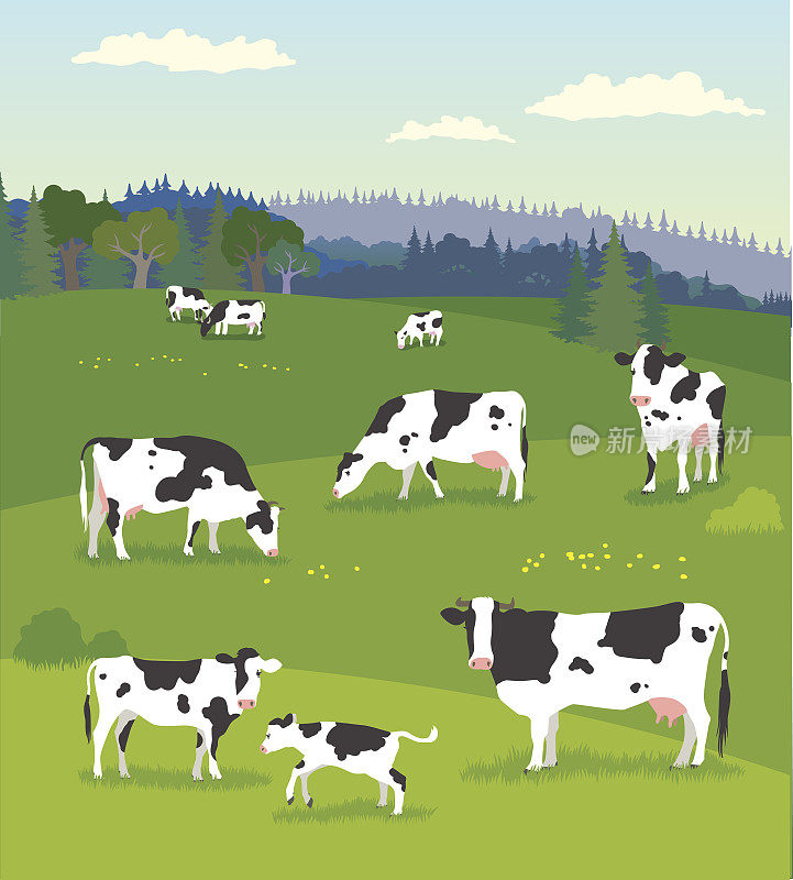 景观与放牧奶牛与婴儿奶牛