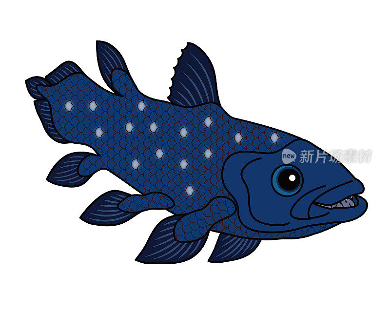 希拉罐头深海鱼人物插图剪辑艺术