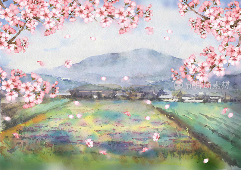 樱花水彩画景观