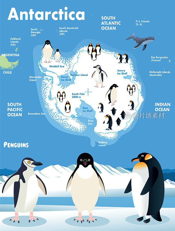 南极和企鹅