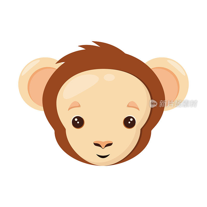 一只可爱猴子的头