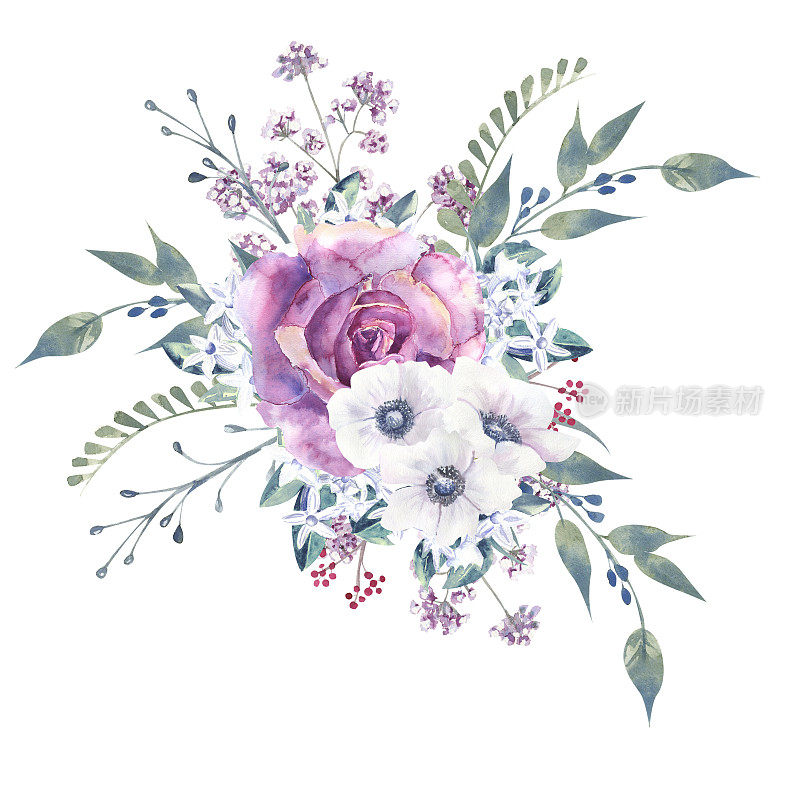 花束与紫色的玫瑰和银莲花在一个白色孤立的背景。手绘水彩插图