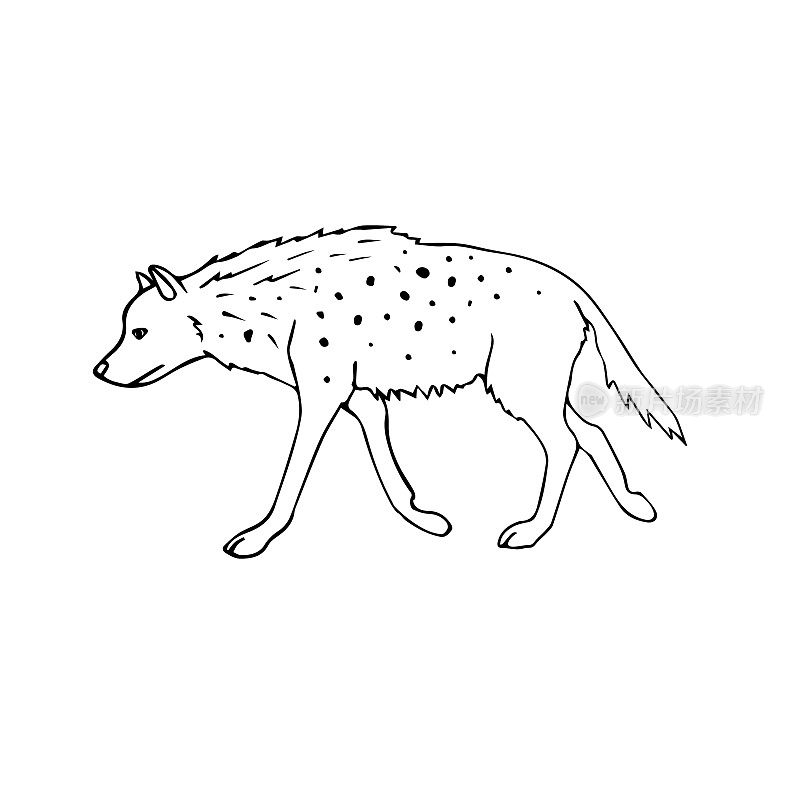 矢量手绘涂鸦草图鬣狗