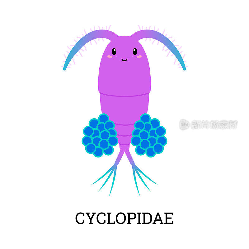 可爱的cyclopidae浮游生物，卡通平面矢量插图孤立在白色背景。