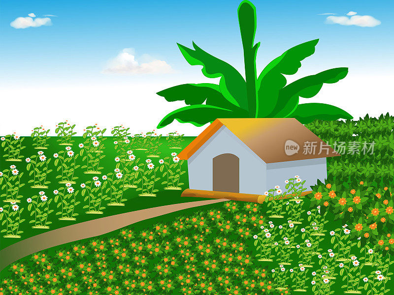 矢量美丽的村庄，多云的蓝天，家和绿色的植物。插图的家庭园艺，花园旁边的房子，小屋与一棵香蕉树。土地上有绿色的花园、树木和天空