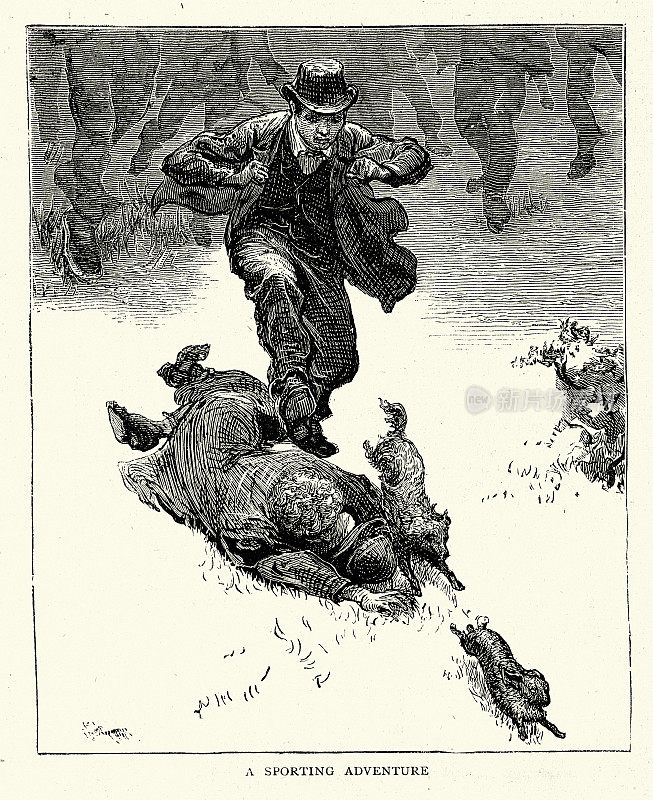 两个男人和他们的狗追逐一只兔子，19世纪70年代的体育冒险
