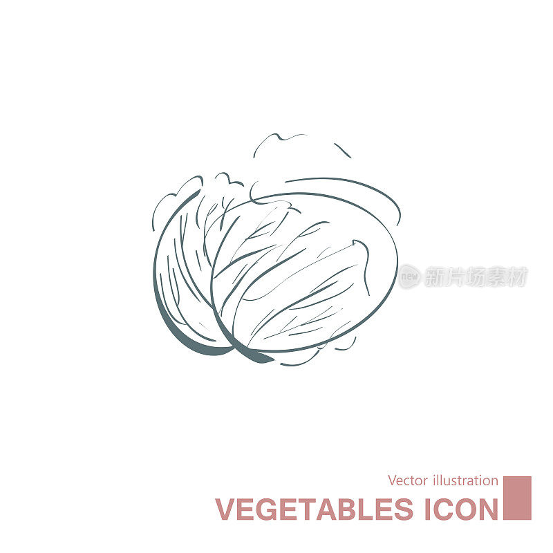 矢量绘制卷心菜。
