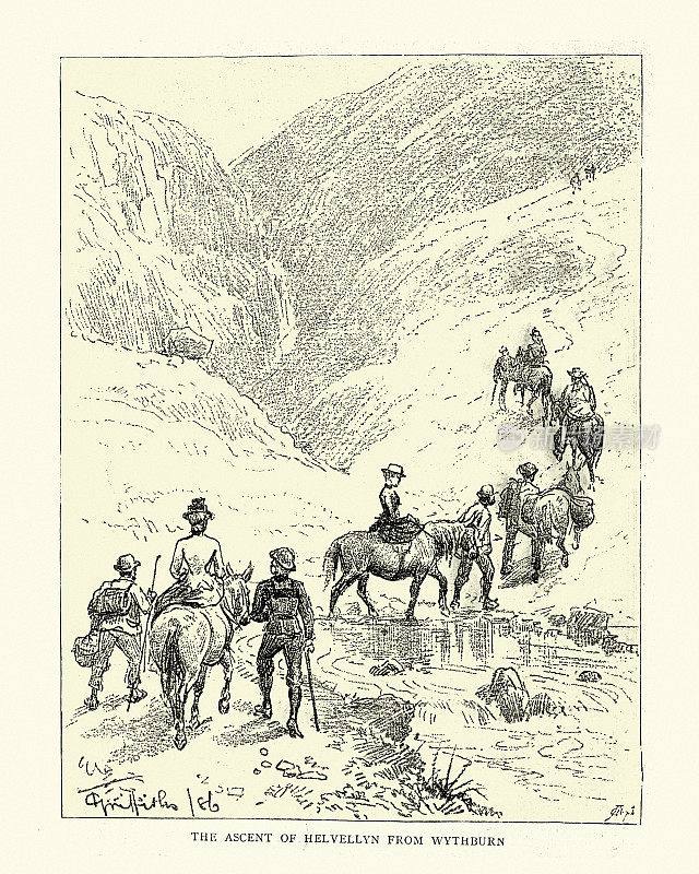 19世纪，从威斯本骑到黑尔韦林的小马