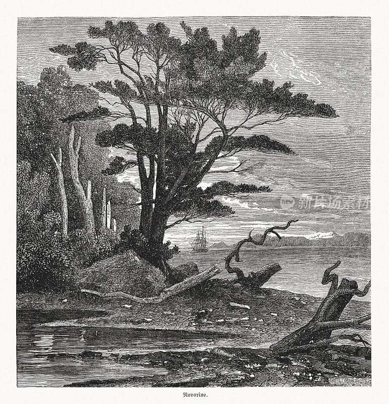 纳瓦里诺岛，智利，木刻，1868年出版