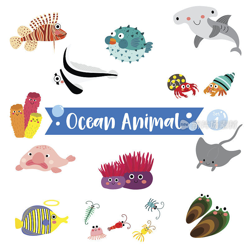 海洋动物卡通在白色的背景。矢量插图。组1
