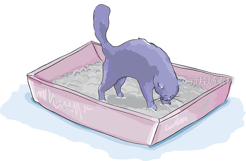 猫在猫砂盒里