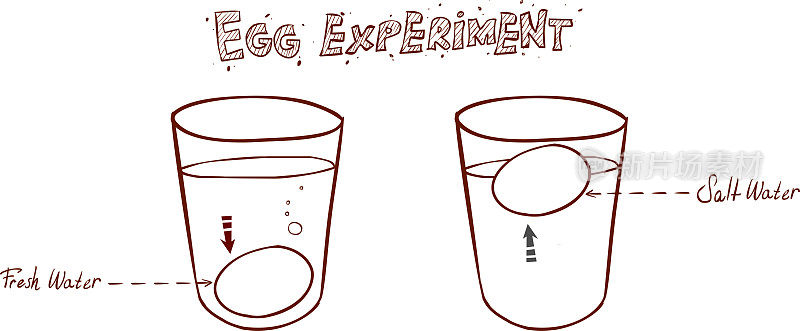 载体-浮在水中的鸡蛋(沉或浮鸡蛋新鲜度测试)