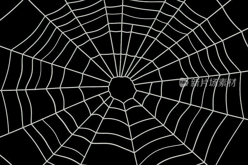 蜘蛛网，3D渲染孤立的黑色背景
