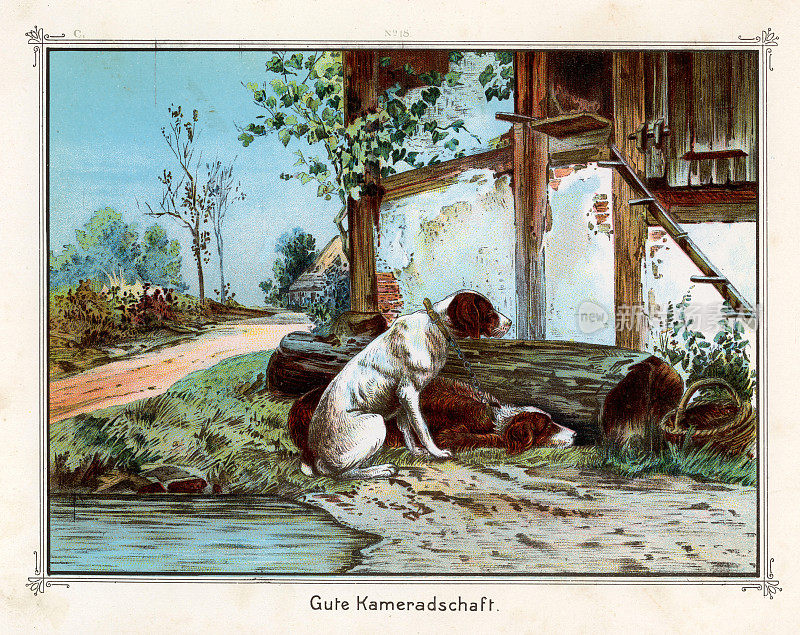 狗看守鸡舍，维多利亚时代的德国，1890年代，19世纪