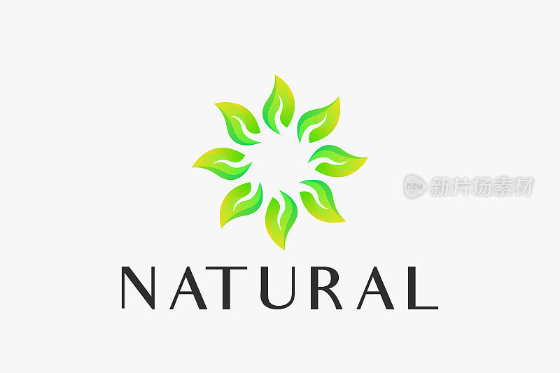自然叶简单概念的商业美容，沙龙，和水疗。
