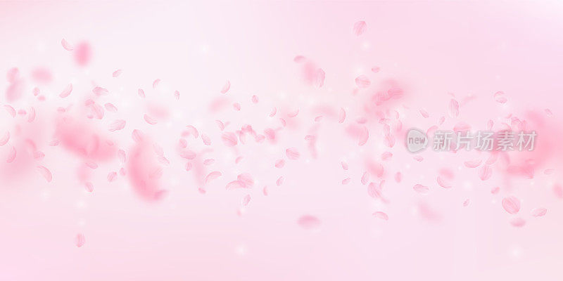 樱花花瓣飘落。浪漫的粉红花落雨。飞花瓣在粉红色的宽背景。爱情,浪漫的概念。令人兴奋的婚礼邀请