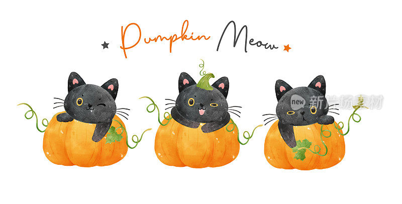 三组可爱的水彩有趣的黑色小猫在橙色的南瓜，南瓜喵，水彩矢量孤立在白色的背景