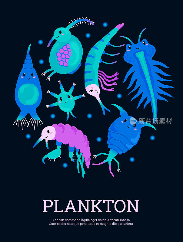 可爱的浮游生物微生物，海报模板与文字，卡通平面矢量插图。