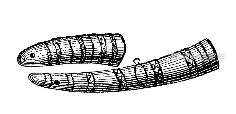 古董插图，民族志和土著文化:非洲，长笛乐器