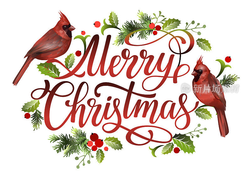 圣诞快乐的字母设计与红色红衣主教鸟，槲寄生叶，云杉树枝，红色浆果。