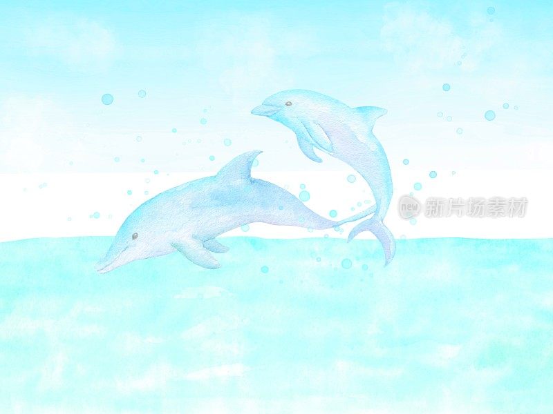 两只海豚扑通一声跳跃的场景。
