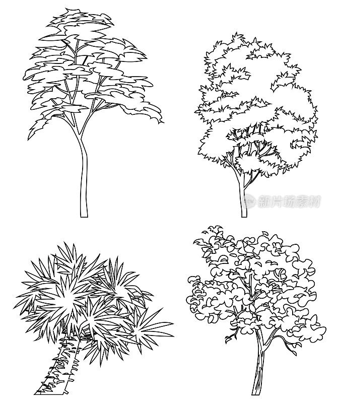 不同的手绘树孤立在白色的背景，素描，绘制风格的树集。