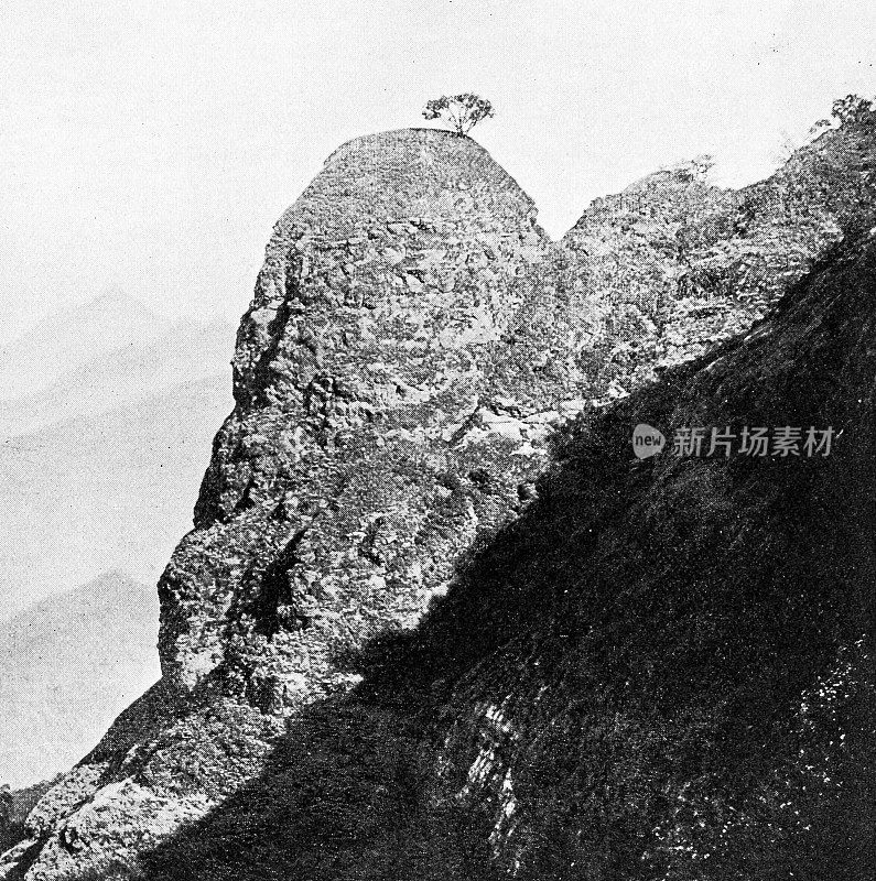 1895年印度的人物和地标:马瑟兰的一棵树山