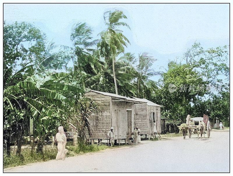 古老的黑白照片:从庞塞到庞塞港的道路，波多黎各