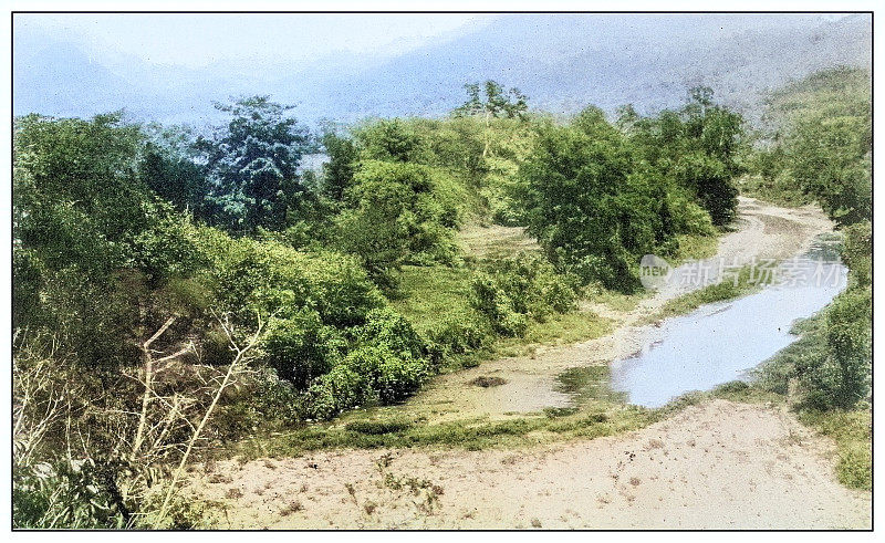 古董黑白照片:波多黎各Aibonito山口附近的山溪
