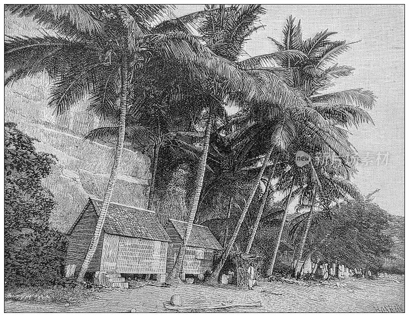 古董图片:马提尼克岛，圣皮埃尔，海滩