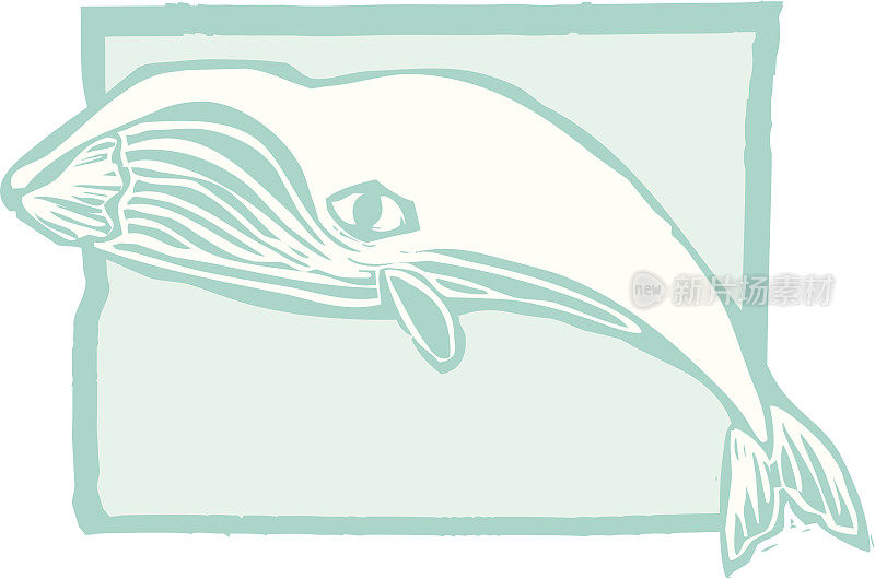 露脊鲸