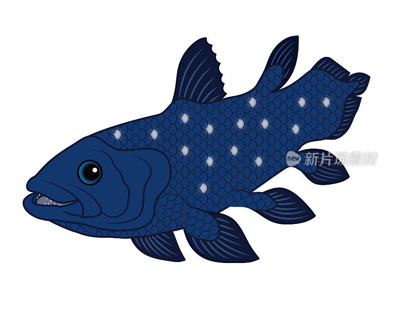 希拉罐头深海鱼人物插图剪辑艺术