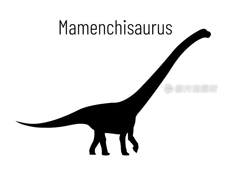 马门溪龙。蜥脚形亚目恐龙。史前动物马门奇龙孤立在白色背景上剪影的单色矢量插图。模板。巨大的恐龙化石。